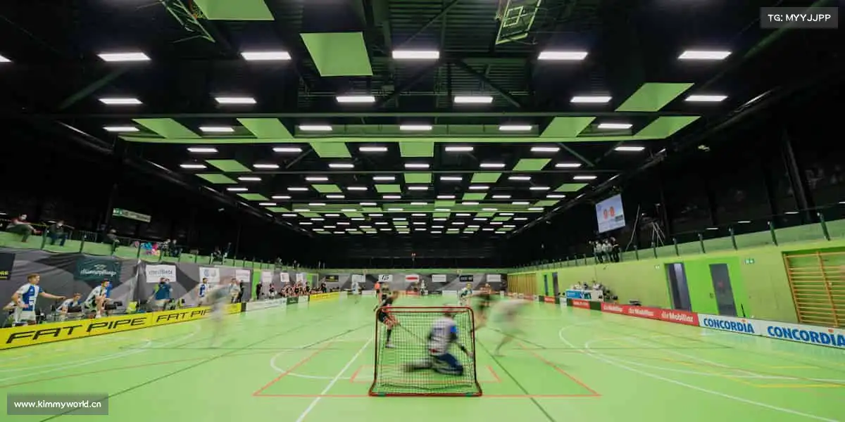 行业领先的理由